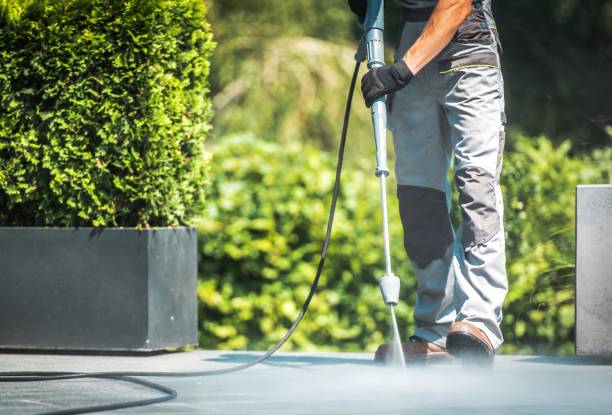 Best Boat and Dock Cleaning  in Liberty Triangle, FL