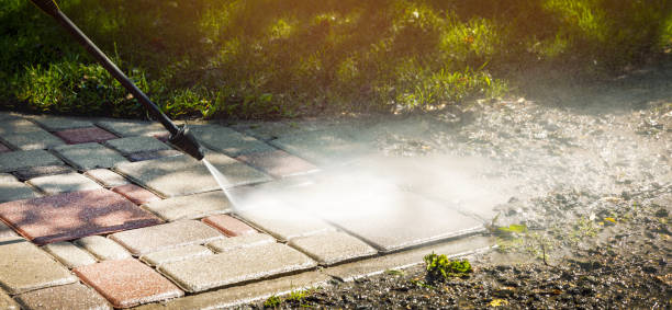 Best Animal Enclosure Cleaning  in Liberty Triangle, FL